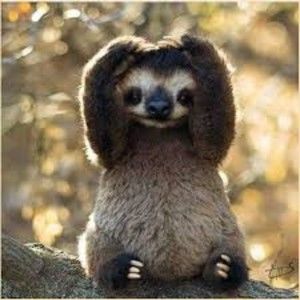 Meet your Posher, Lanette